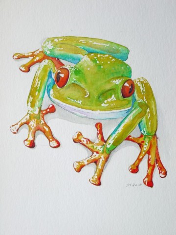 Aquarellbild eines grünen Frosches vor weissem Hintergrund